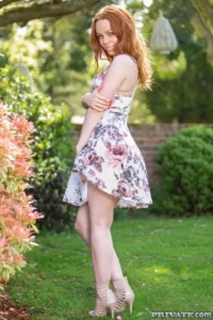 Fucked in the Park