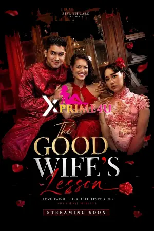 The Good Wife’s Lesson